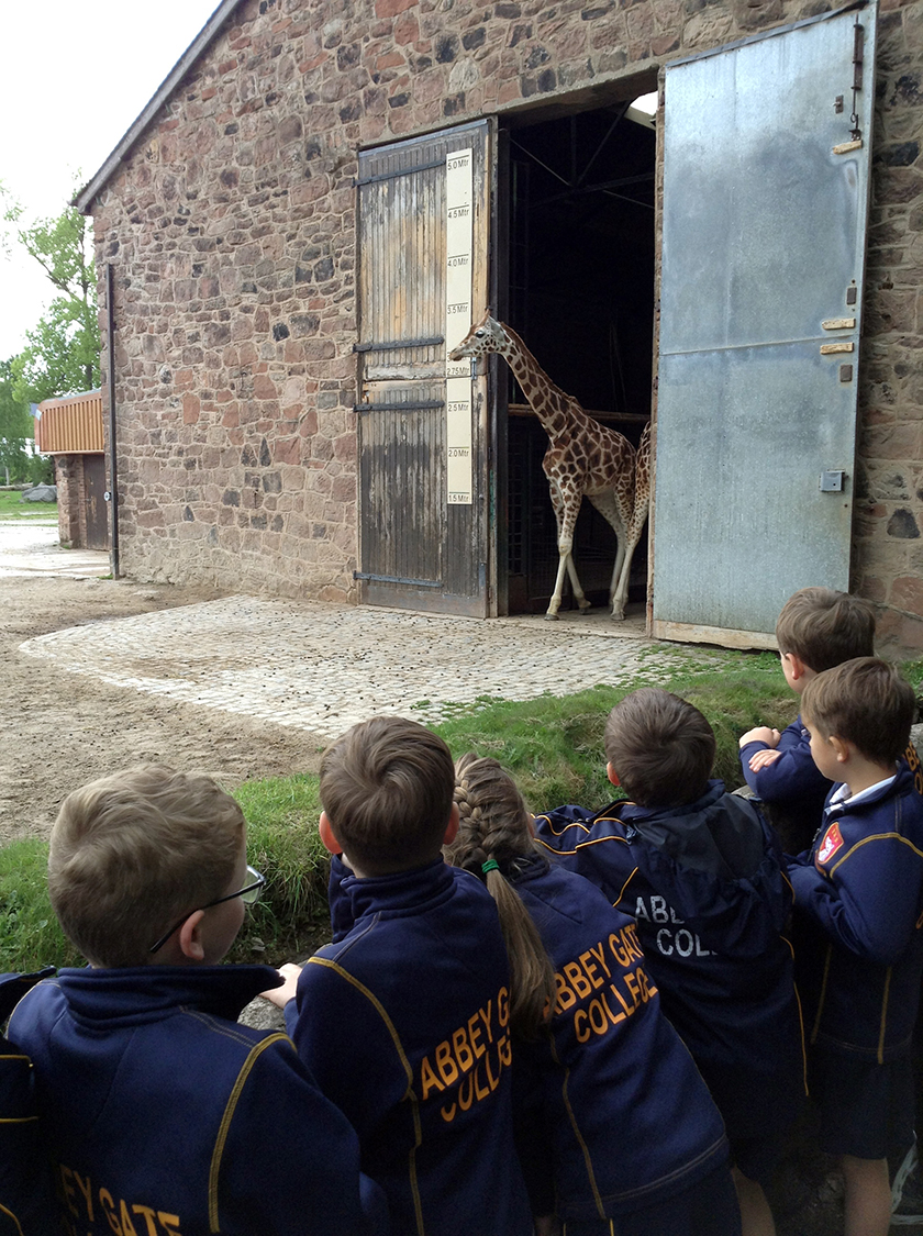 Children at Chester Zoo