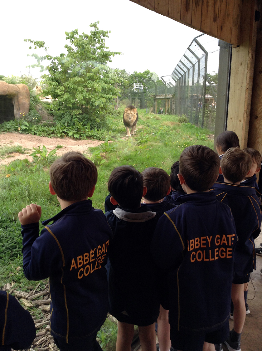 Children at Chester Zoo