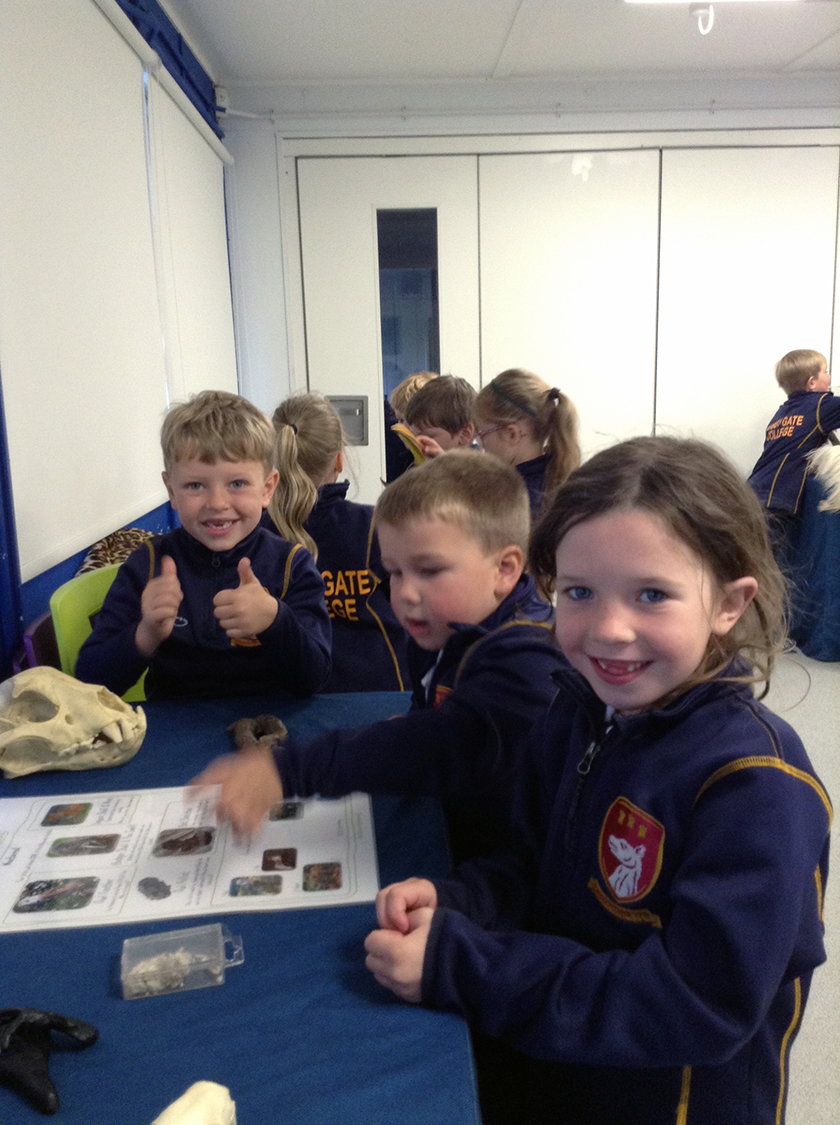 Children at Chester Zoo