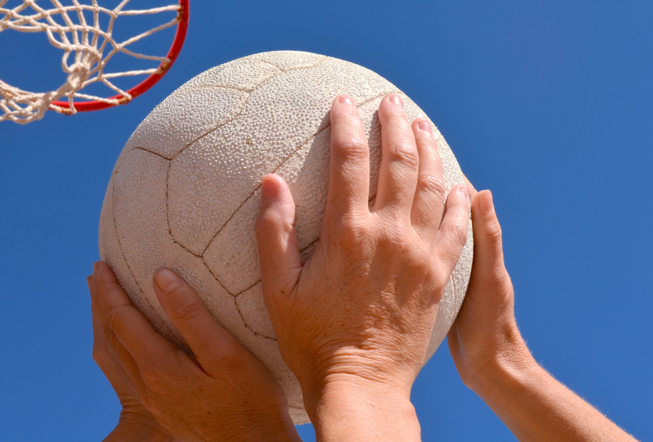 Abbey Gate College Take Part in the ‘Sisters in Sport’ Netball Competition thumbnail image