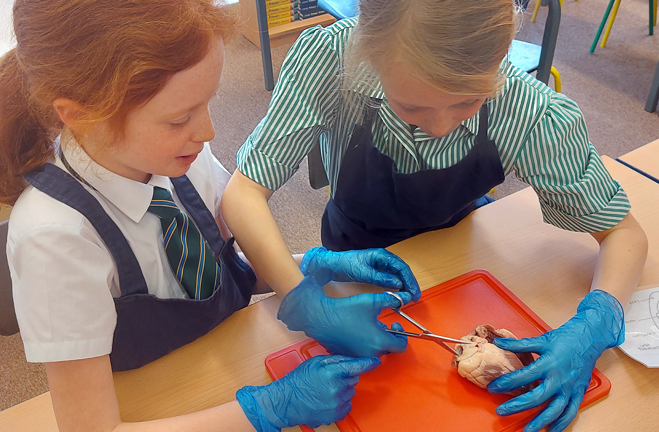 Abbey Gate College Junior Scientists Gain their CREST Award thumbnail image