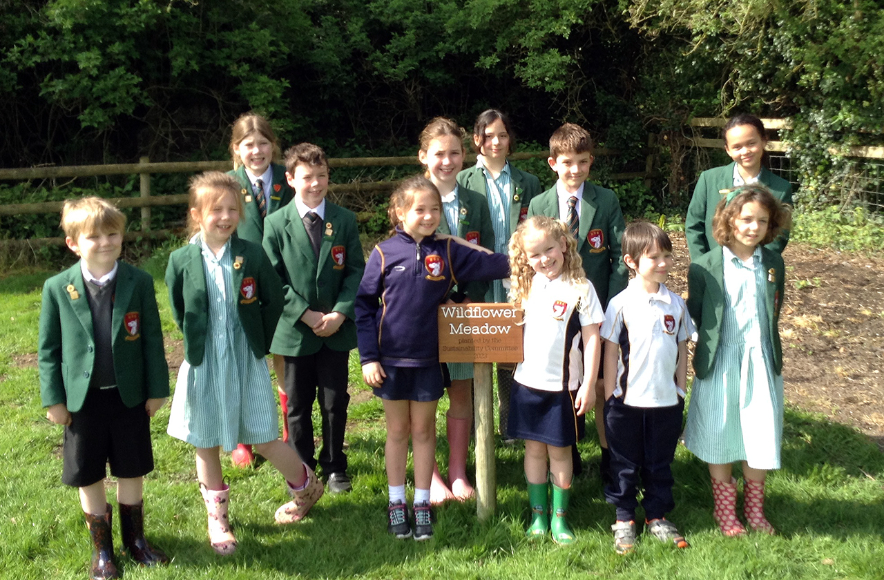 Infant and Junior School Pupils Sow a Wildflower Meadow thumbnail image