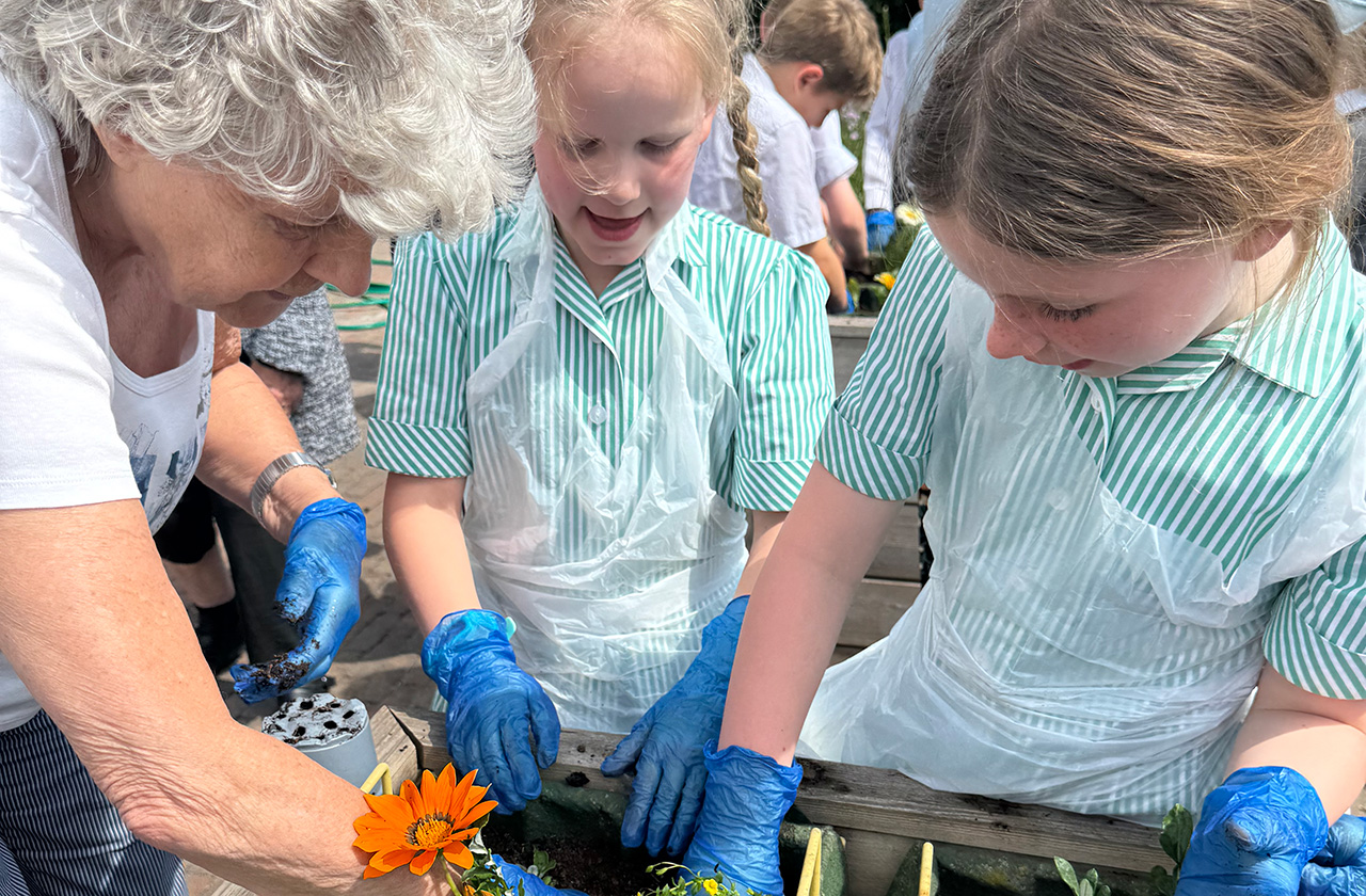 A-Bee Gate College is Buzzing for World Bee Day! thumbnail image