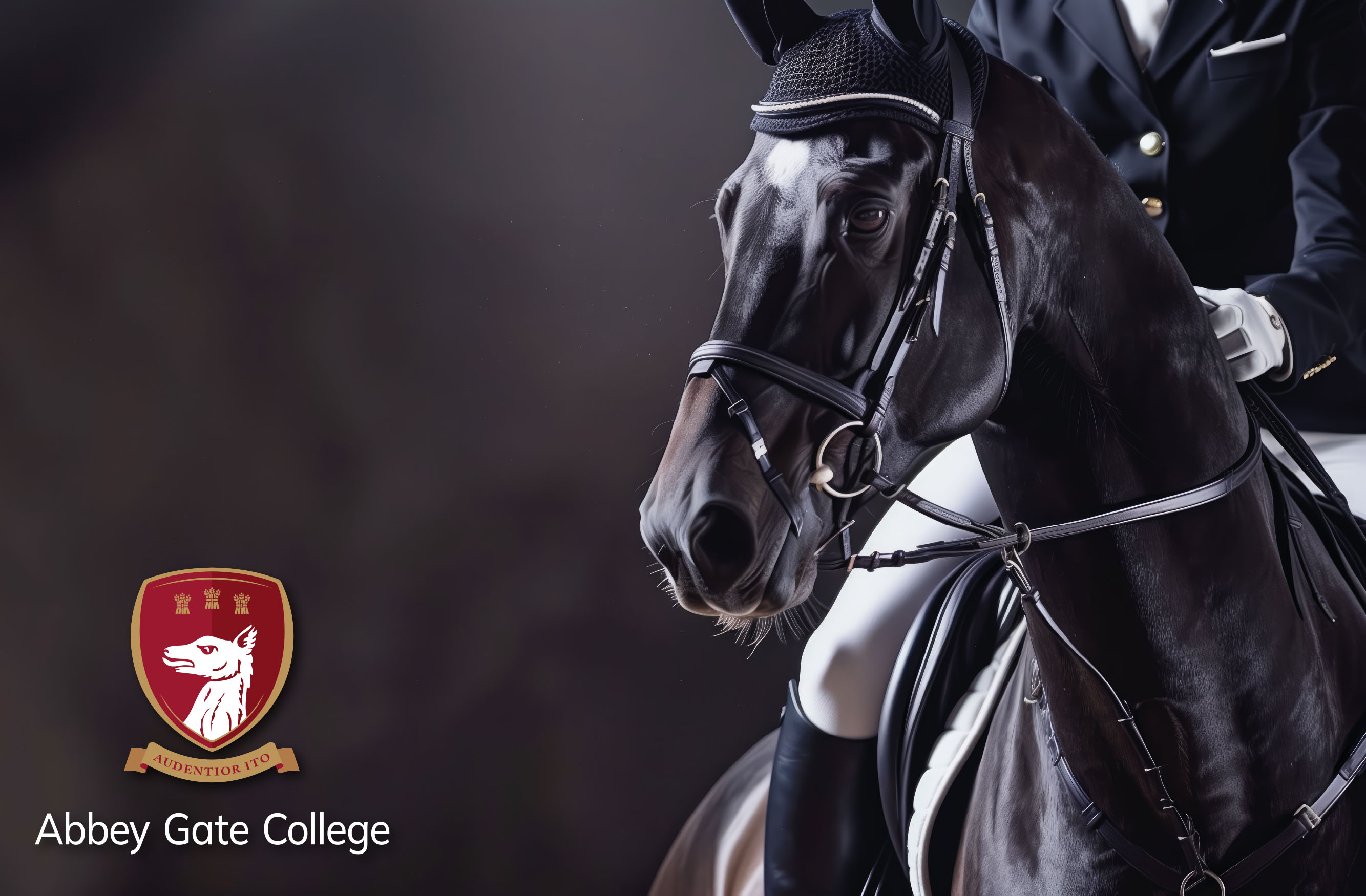 Abbey Gate College Riders Qualify for National Championships thumbnail image