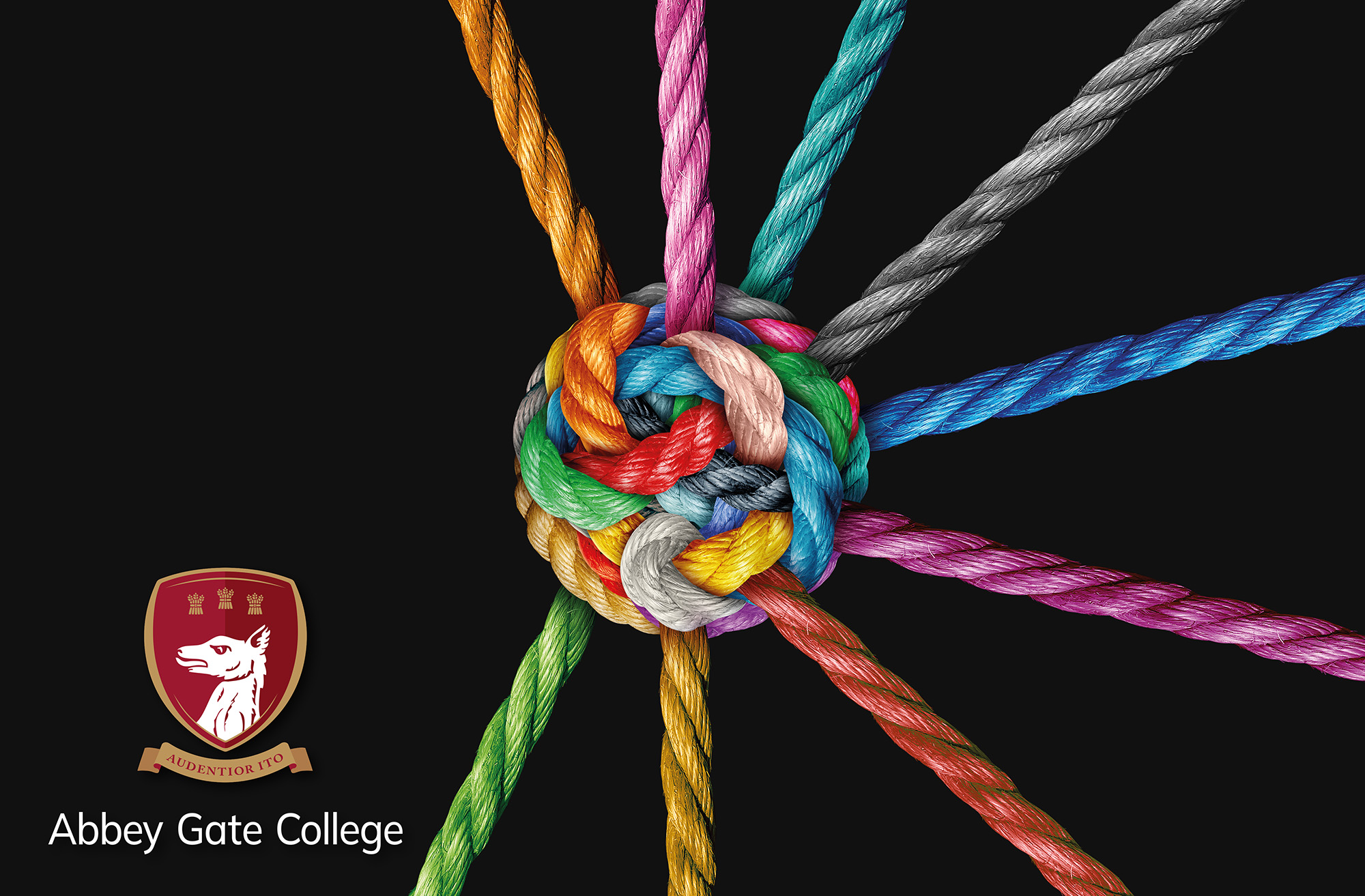 Celebrating the Power of Partnerships at Abbey Gate College thumbnail image