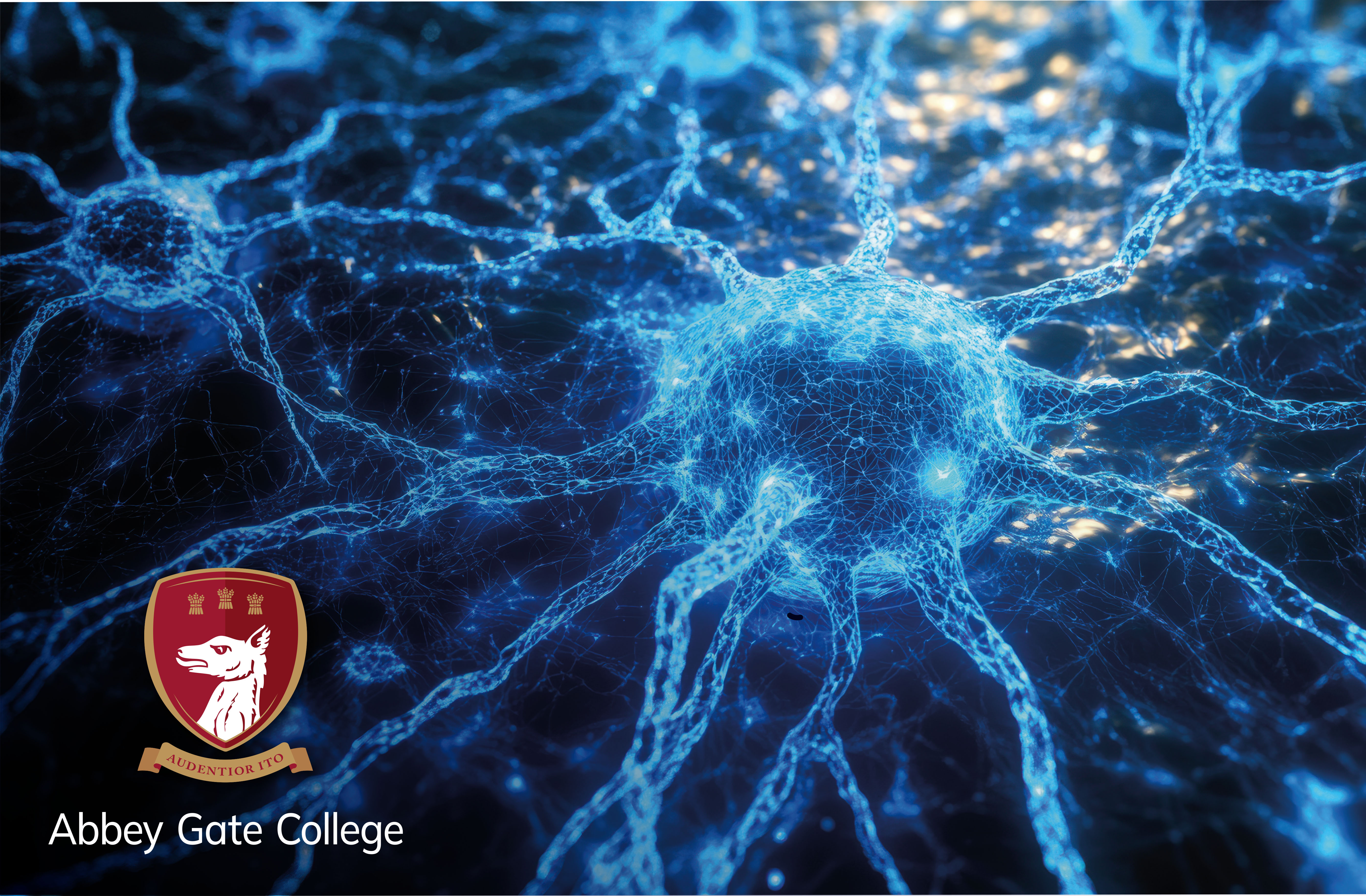 Global Success in the Bebras Challenge thumbnail image