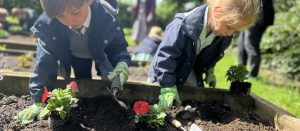 Learning Through Discovery in our Infant Setting